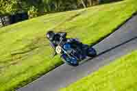 Evening Low_Mid Group Blue Bikes